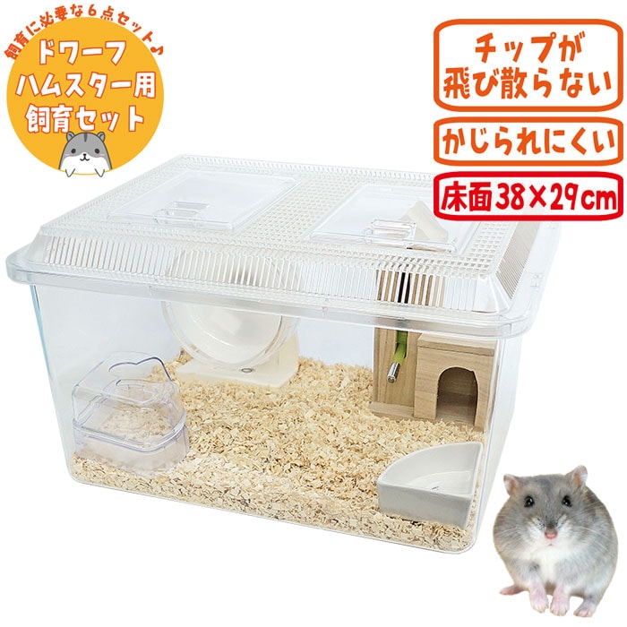 29周年セール中】ジャンガリアンハムスター飼育セット/プラケース 飼育