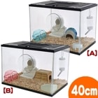 ��28��ǯ���������400High����󥬥ꥢ�����6�����åȡڰ��٤Τ���ʸ��2�Ĥޤǡ�/�ϥॹ�������饻�å� ���饹������ ������ ������ ����󥬥ꥢ��