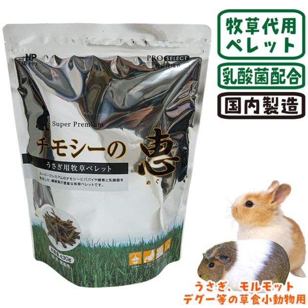 小動物用品 うさぎ 餌 うさぎ餌入れ チンチラデグー モルモット 餌入れ