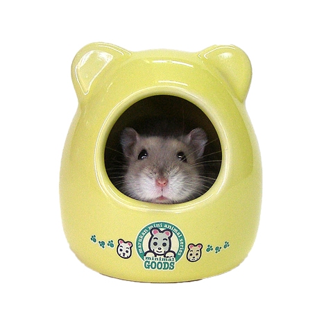 ����󥬥ꥢ��Τ��ؤ�/�ϥ��� ������ ���� ���� ƫ�� �ä��� �ϥॹ���� ��ưʪ