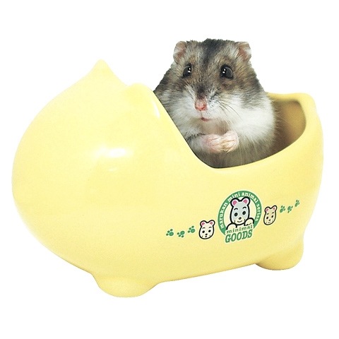 �ϥॹ�����Τ��襤���ȥ���/�ϥॹ�����ѥȥ��� ƫ�� ����� �Ҥ��� �ߥ˥ޥ륰�å� �ɥ�� ����󥬥ꥢ�� �ޥ륫�� MARUKAN