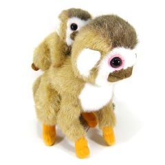 �ꥹ����ƻ�/�̤������ �� ���� TST