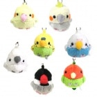 ��˥�ޥ� ���ӥ��ȥ�å� Ļ/�������� ������ ʸĻ �������� ���Х��� TST