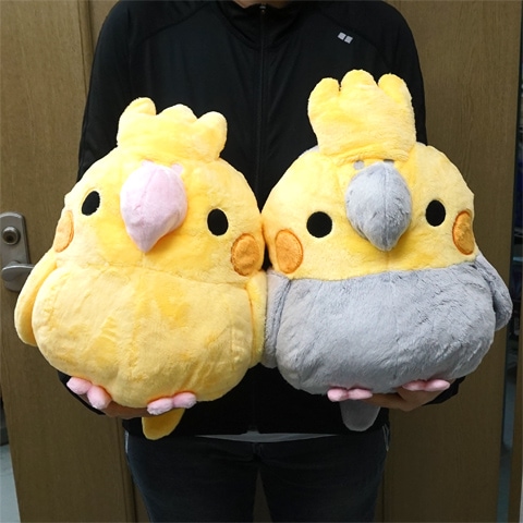 ��˥�ޥࡡ�����ᥤ�󥳡��أ�/�̤������ �Ρ��ޥ� �������� ��Ļ �礭�� TST