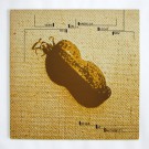 Voice Of Authority - Very Big In America Right Now