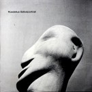 Hans-Joachim Roedelius ‎– Selbstportrait