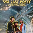 The Last Poets With  Bernard Purdie  ‎– Delights Of The Garden