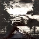 Normil Hawaiians - Whats Going On��