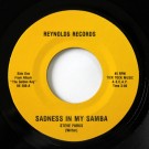 Steve Parks - Sadness In My Samba / All In A Day