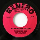 Tender Loving Care - My World Is Falling / Two Fools Are We