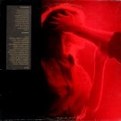 Kip Hanrahan - Tenderness