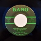 The Caprells - What Ever Goes Up (Has To Come Down) / I Believe In The Stars