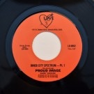 Proud Image (Sandy Dickson) - Inner City Spectrum Prt I & II