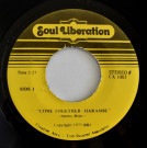 Soul Liberation - Come Together-Harambe / You Can Call Me A Fool