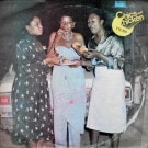 Esbee Family - Chics And Chicken