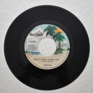 The Breeze Band - Save It For A Rainy Day / We��re In This Thing Together  [7inch]