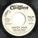 Black Haze Express - Pretty Soon / Won't Nobody Listen (Promo)