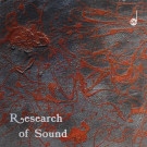 Puccio Roelens - Research Of Sound  [LP]