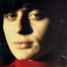 Ana Frango Eletrico - Little Electric Chicken Heart = ȥ롦쥯ȥå󡦥ϡ  [LP]