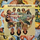 Tete e o Lirio Selvagem - Tete e o Lirio Selvagem   [LP]