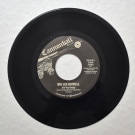 Big Lee Dowell - Are You Ready (Are You Straight With Your Fellow Man) / Interview��[7inch]