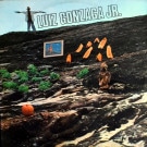 Luiz Gonzaga Jr. - Luiz Gonzaga Jr.  [LP]