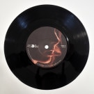 Elizabeth Shepherd Trio - Reversed (Nostalgia 77 Mix) Main Mix / ST (Bonus Beats)   [7inch]