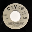 Fish - This Is Life (Part-1) / ST (Part-2)  [7inch] 饹ȥԡ