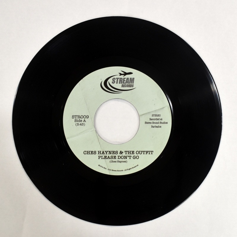 Ches Haynes - Please Don't Go / Instrumental [7inch]｜SOUL