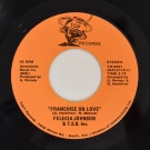Felecia Johnson & T.S.B. Inc. - Franchise On Love / I Can't Kiss You Tonight   [7inch]
