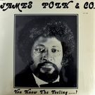 James Polk & Co. - You Know The Feeling... !����LP��