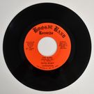 Larry McGee Revolution - The Burg (Pittsburgh, Pa.) / Happy Bicentennial Usa    [7inch]