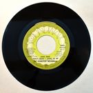 The Hamilton Movement - Love Man (That's What I Long To Be) / We��re Gonna Party    [7inch]