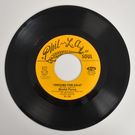 Brutal Force - Dreams For Sale / The Number For Groove      [7inch]