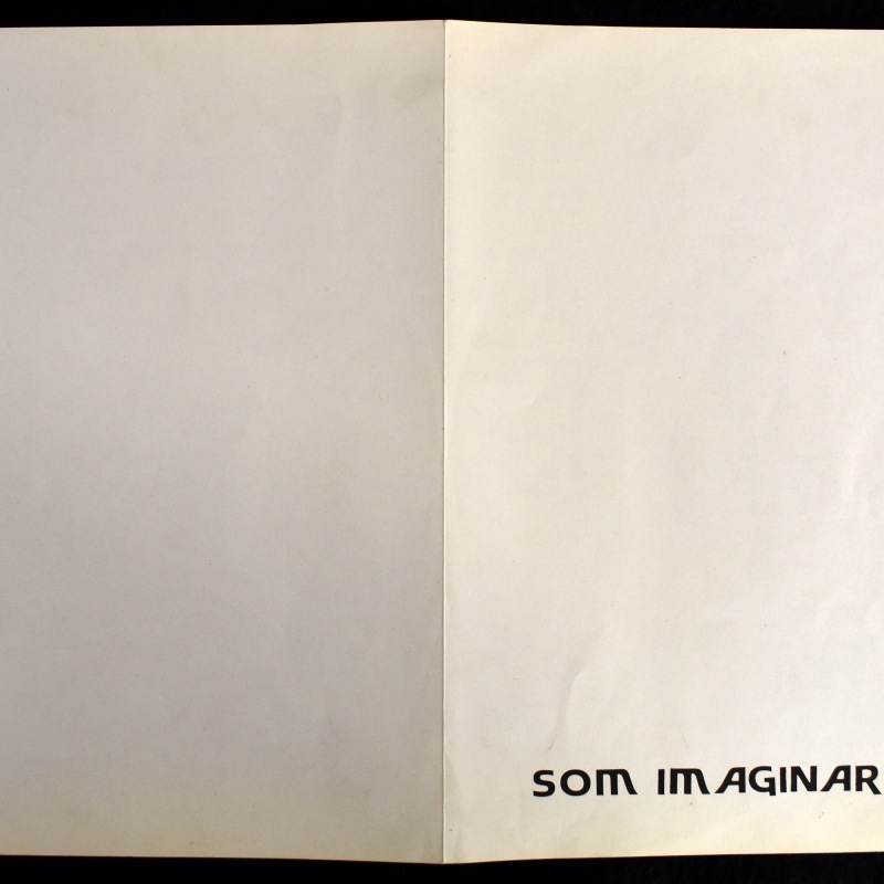 Som Imaginario - Matanca Do Porco     [LP]