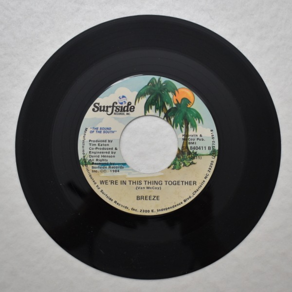 The Breeze Band - Save It For A Rainy Day / We��re In This Thing Together  [7inch]