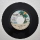 The Breeze Band - Save It For A Rainy Day / We��re In This Thing Together  [7inch]