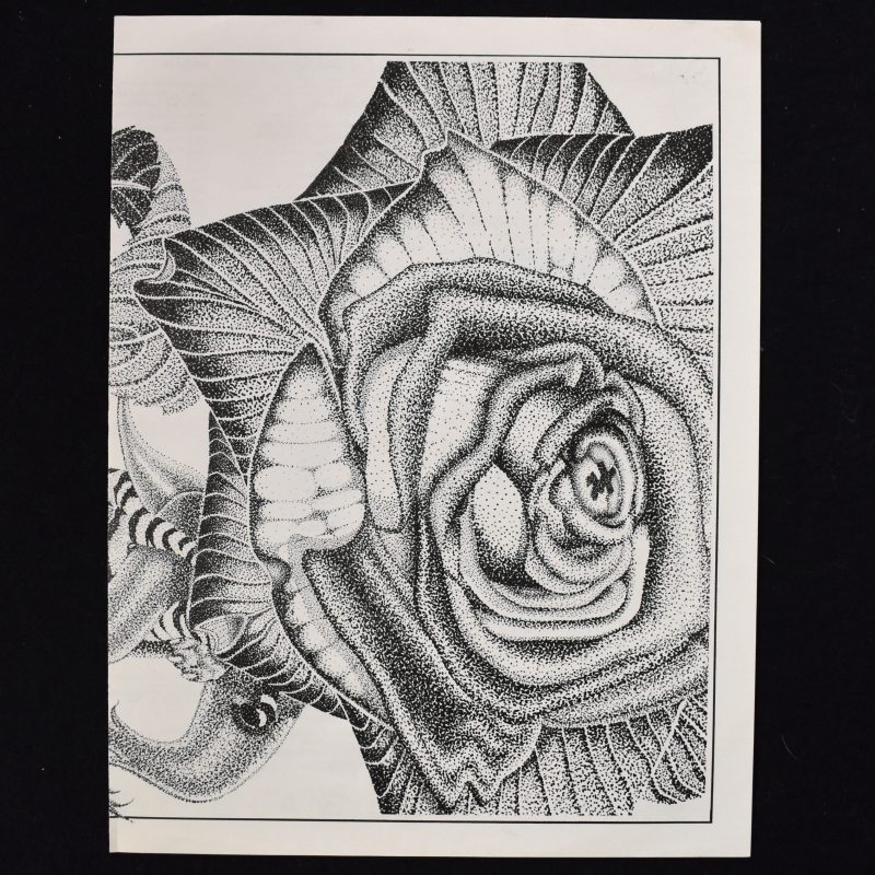 Wayne Canney / Tiger Rose - Sailing The Blues   [LP] 쥢եåSSW