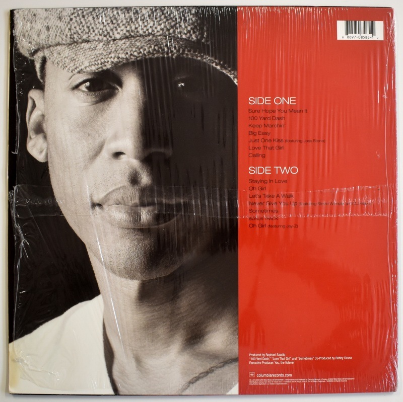 Raphael Saadiq - The Way I See It [LP]｜全てのカテゴリー｜Paddy