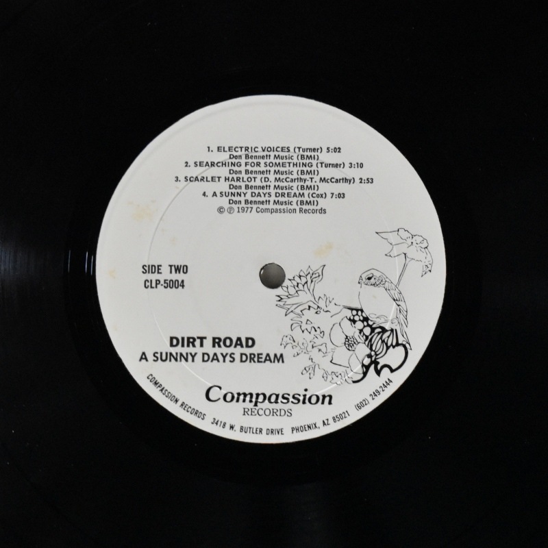 Dirt Road - A Sunny Days Dream  [LP]