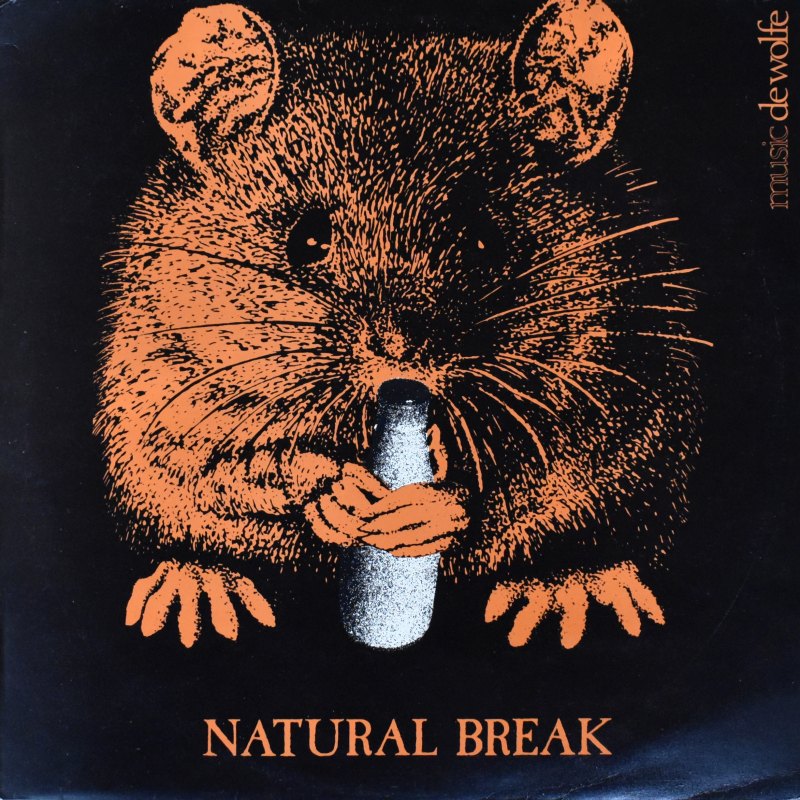 Bright Spark - Natural Break  [LP]