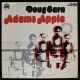 Doug Carn - Adam's Apple  [LP] '74 USA ���ꥸ�ʥ�