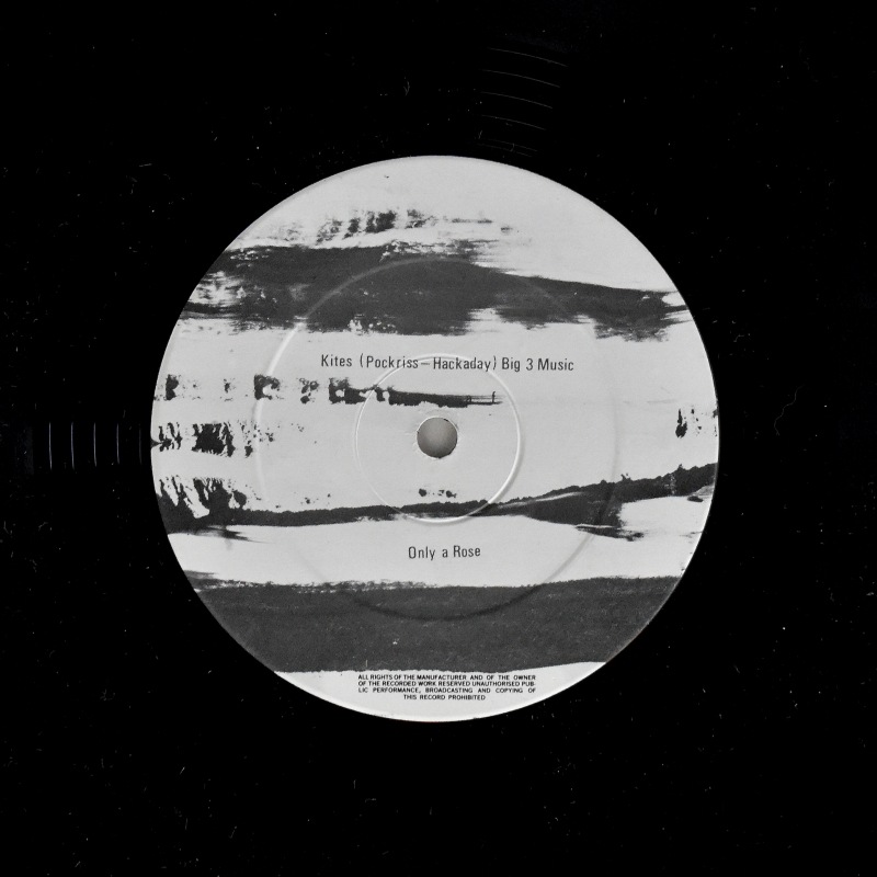 Lemon Kittens - Cake Beast  [12inch]
