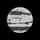 Lemon Kittens - Cake Beast  [12inch]