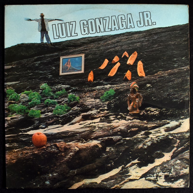 Luiz Gonzaga Jr. - Luiz Gonzaga Jr.  [LP]