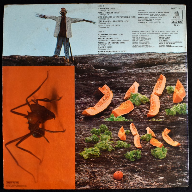 Luiz Gonzaga Jr. - Luiz Gonzaga Jr.  [LP]