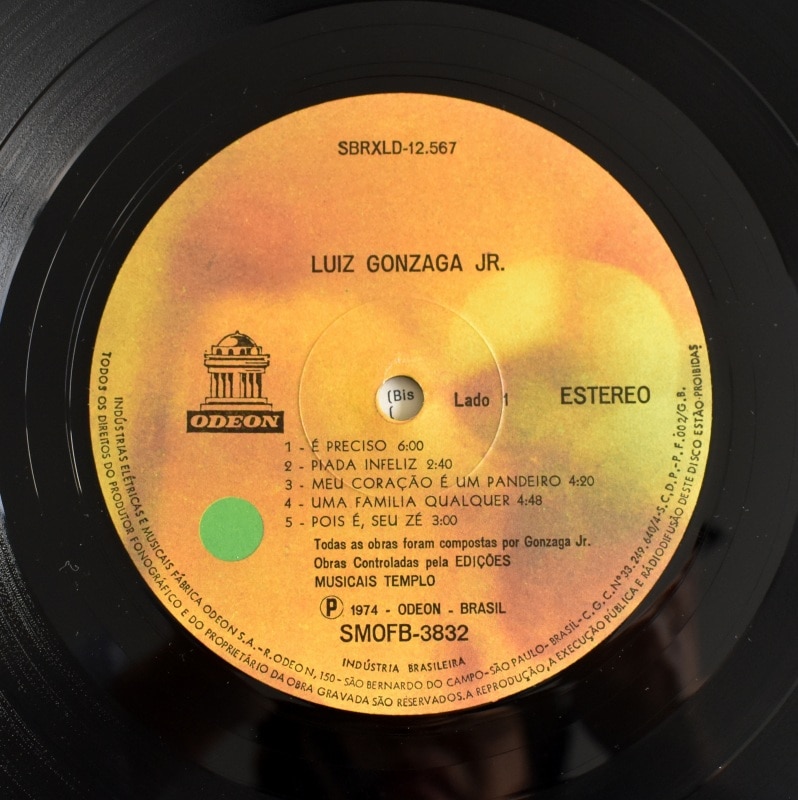 Luiz Gonzaga Jr. - Luiz Gonzaga Jr.  [LP]