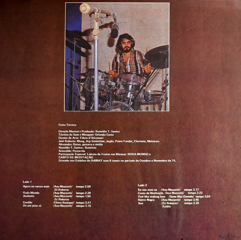 Ana Mazzotti - Ninguem Vai Me Segura   [LP]