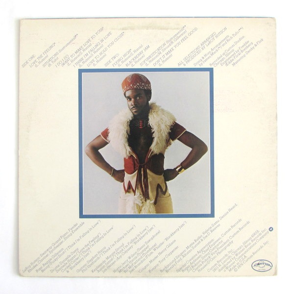 Leroy Hutson - Hutson Ⅱ｜全てのカテゴリー｜Paddy Field Records 