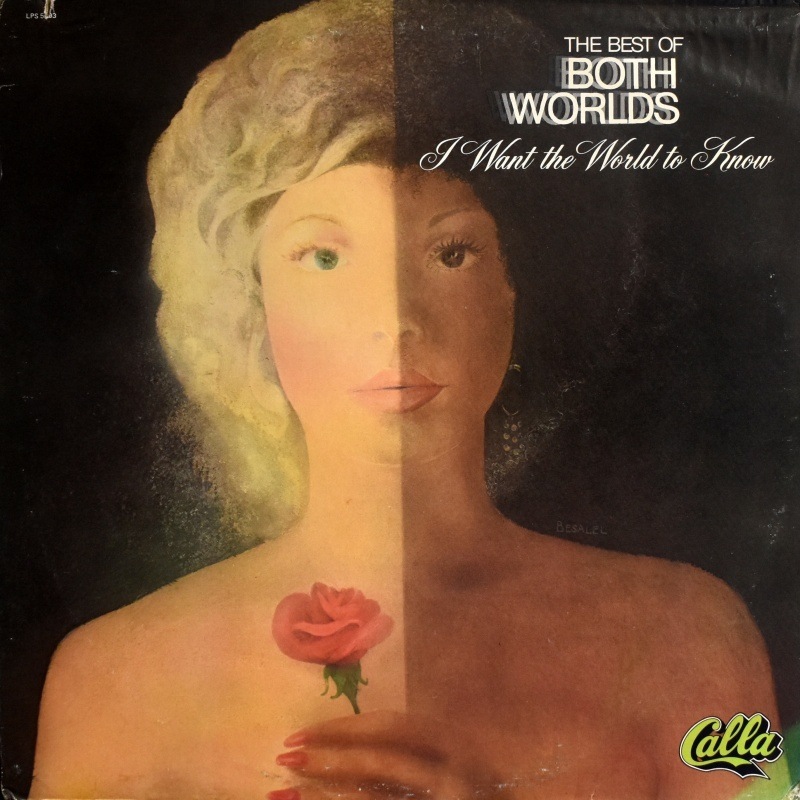 The Best Of Both Worlds - I Want The World To Know   [LP]